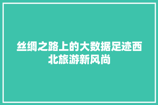 丝绸之路上的大数据足迹西北旅游新风尚