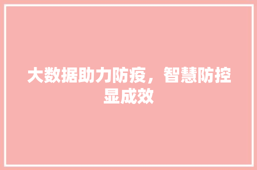 大数据助力防疫，智慧防控显成效  第1张