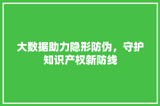 大数据助力隐形防伪，守护知识产权新防线  第1张