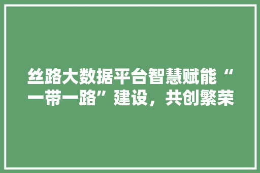 丝路大数据平台智慧赋能“一带一路”建设，共创繁荣发展新未来