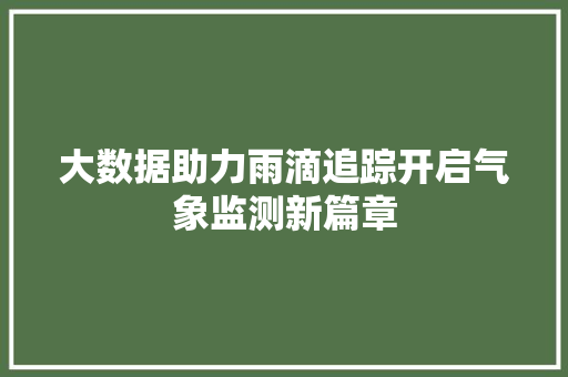 大数据助力雨滴追踪开启气象监测新篇章  第1张