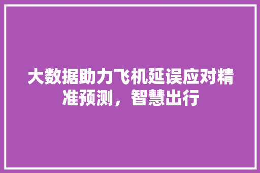 大数据助力飞机延误应对精准预测，智慧出行  第1张