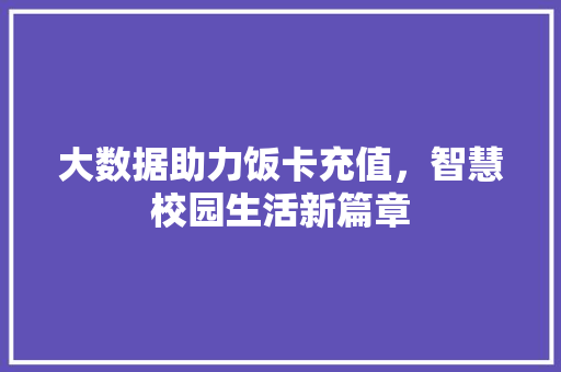 大数据助力饭卡充值，智慧校园生活新篇章
