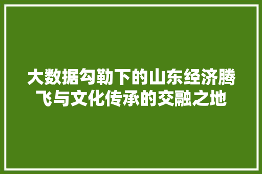 大数据勾勒下的山东经济腾飞与文化传承的交融之地  第1张