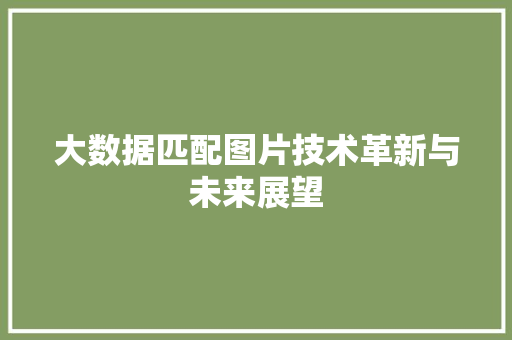 大数据匹配图片技术革新与未来展望  第1张