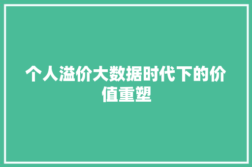 个人溢价大数据时代下的价值重塑