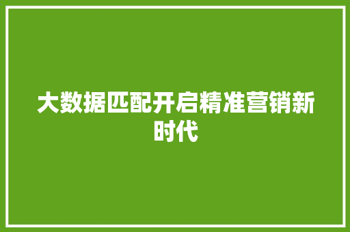 大数据匹配开启精准营销新时代