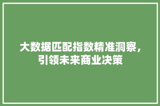 大数据匹配指数精准洞察，引领未来商业决策