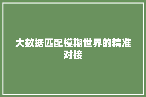 大数据匹配模糊世界的精准对接
