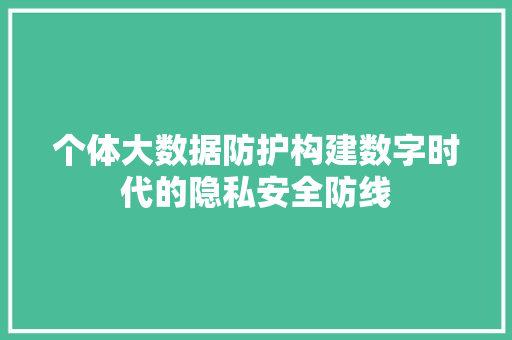 个体大数据防护构建数字时代的隐私安全防线