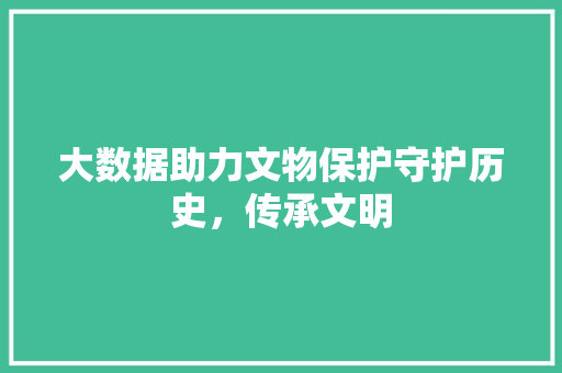 大数据助力文物保护守护历史，传承文明
