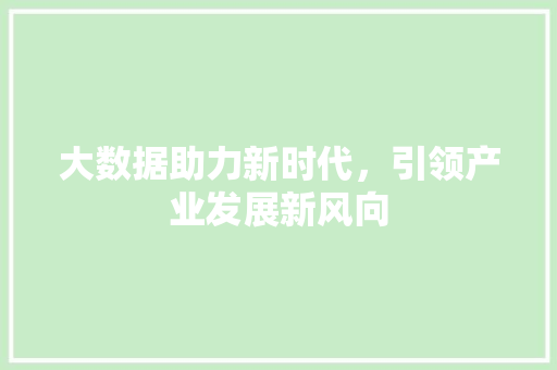 大数据助力新时代，引领产业发展新风向