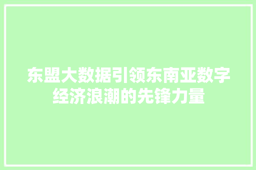 东盟大数据引领东南亚数字经济浪潮的先锋力量