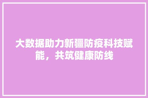 大数据助力新疆防疫科技赋能，共筑健康防线