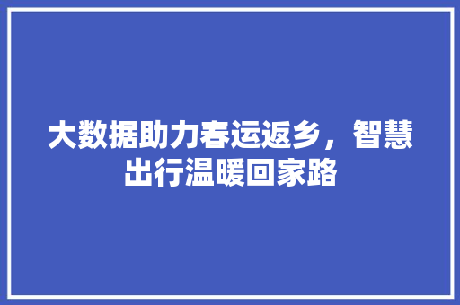 大数据助力春运返乡，智慧出行温暖回家路