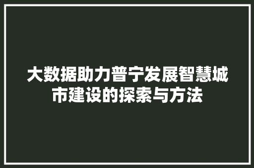 大数据助力普宁发展智慧城市建设的探索与方法
