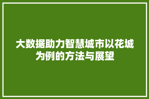 大数据助力智慧城市以花城为例的方法与展望