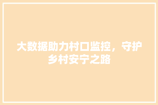 大数据助力村口监控，守护乡村安宁之路