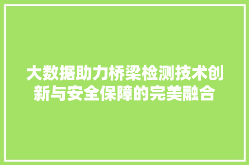 大数据助力桥梁检测技术创新与安全保障的完美融合
