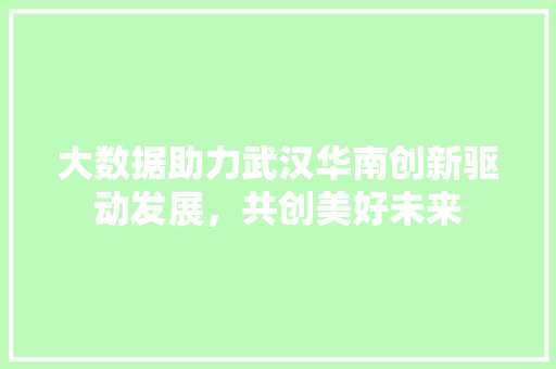大数据助力武汉华南创新驱动发展，共创美好未来