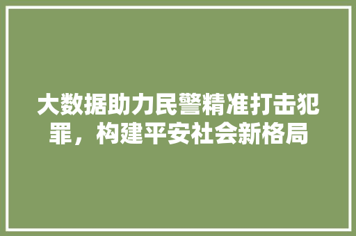 大数据助力民警精准打击犯罪，构建平安社会新格局