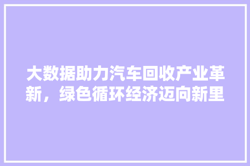 大数据助力汽车回收产业革新，绿色循环经济迈向新里程