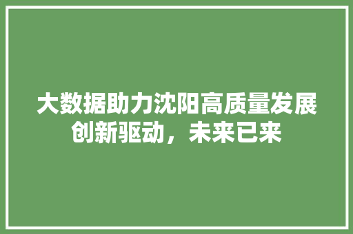 大数据助力沈阳高质量发展创新驱动，未来已来  第1张