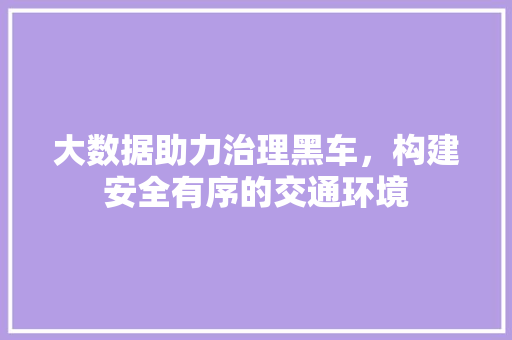 大数据助力治理黑车，构建安全有序的交通环境