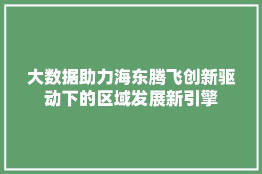 大数据助力海东腾飞创新驱动下的区域发展新引擎