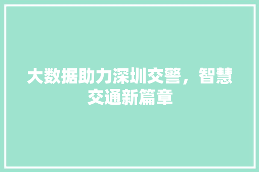 大数据助力深圳交警，智慧交通新篇章