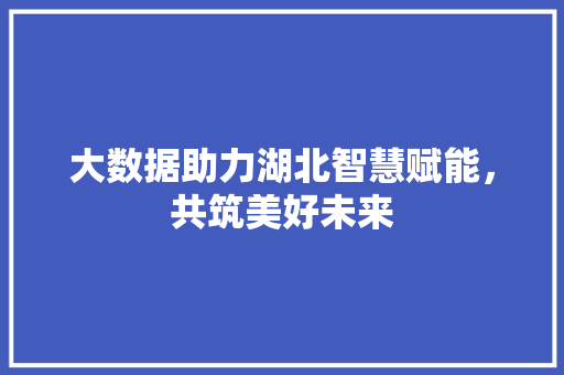 大数据助力湖北智慧赋能，共筑美好未来