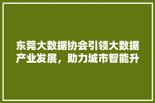 东莞大数据协会引领大数据产业发展，助力城市智能升级