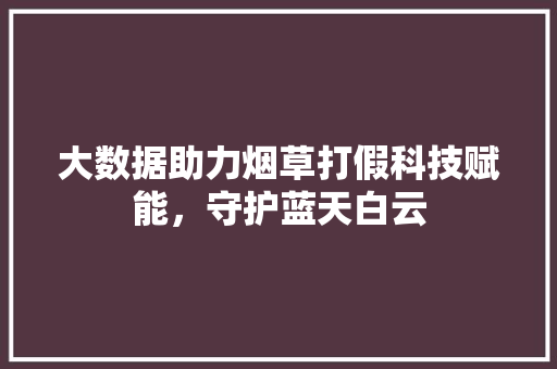 大数据助力烟草打假科技赋能，守护蓝天白云