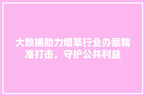 大数据助力烟草行业办案精准打击，守护公共利益  第1张