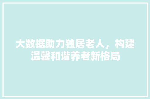 大数据助力独居老人，构建温馨和谐养老新格局