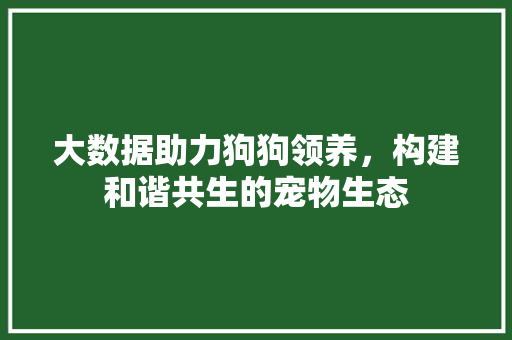 大数据助力狗狗领养，构建和谐共生的宠物生态