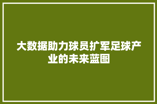 大数据助力球员扩军足球产业的未来蓝图  第1张