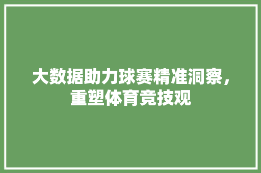 大数据助力球赛精准洞察，重塑体育竞技观