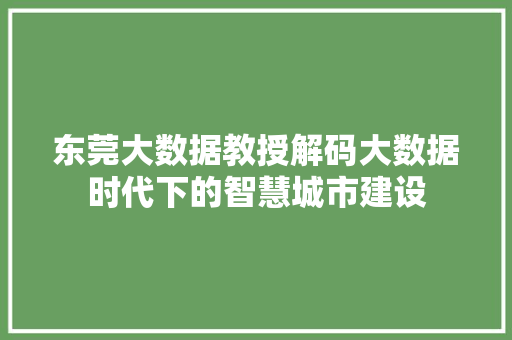 东莞大数据教授解码大数据时代下的智慧城市建设