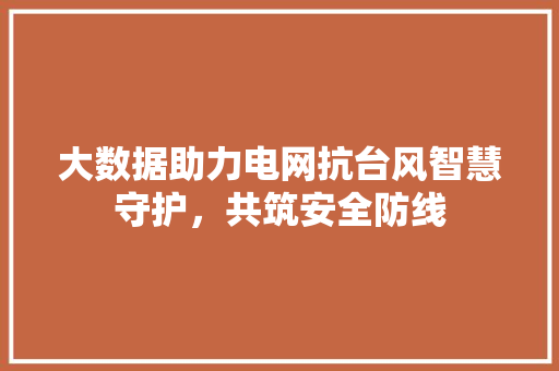 大数据助力电网抗台风智慧守护，共筑安全防线  第1张