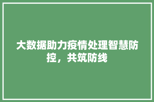 大数据助力疫情处理智慧防控，共筑防线