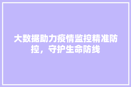 大数据助力疫情监控精准防控，守护生命防线