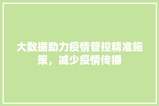 大数据助力疫情管控精准施策，减少疫情传播