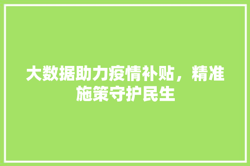 大数据助力疫情补贴，精准施策守护民生  第1张