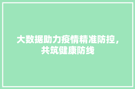 大数据助力疫情精准防控，共筑健康防线
