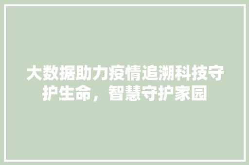 大数据助力疫情追溯科技守护生命，智慧守护家园