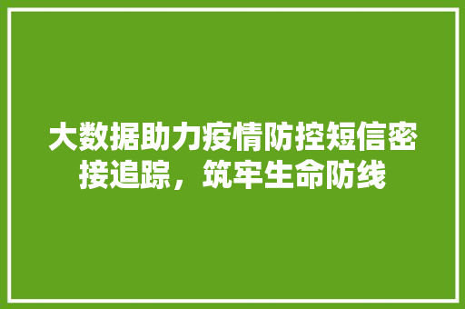 大数据助力疫情防控短信密接追踪，筑牢生命防线