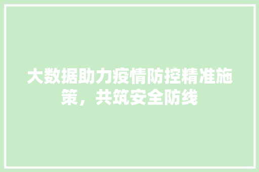 大数据助力疫情防控精准施策，共筑安全防线