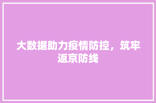 大数据助力疫情防控，筑牢返京防线  第1张