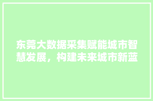 东莞大数据采集赋能城市智慧发展，构建未来城市新蓝图